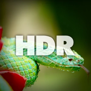 hdr
