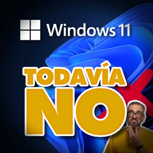 Windows 11