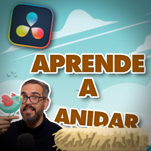 anidar secuencias en davinci