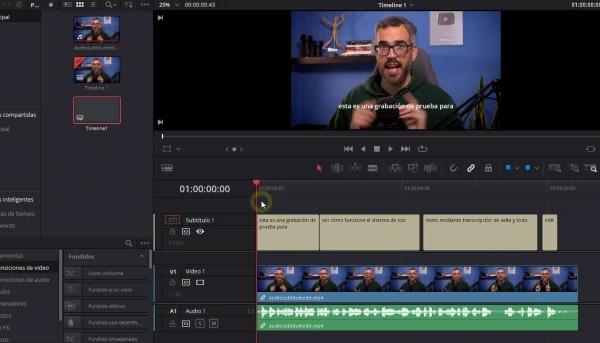 Subtítulos automáticos importados