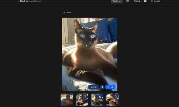 Variantes en Clipdrop