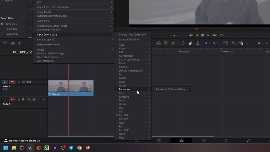 input color space de panasonic
